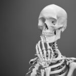 greyscale photography of skeleton showing shoulders, neck, head, and hands