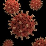 image of viral structure showing spikes on surface