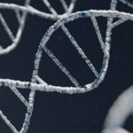 DNA double helix