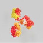 a group of multicolored flowers floating in the air