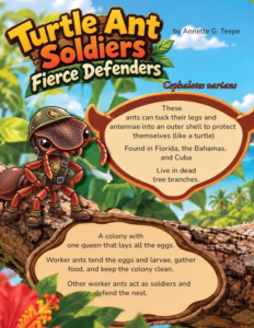 An image of a turtle ant with facts displayed on the page.